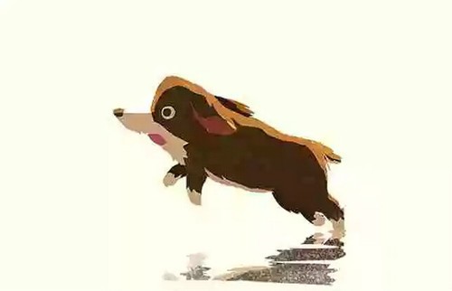 我家有个熊孩子