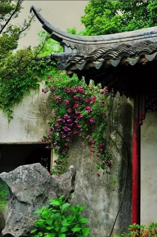 愿岁月可回首，且以深情共余生